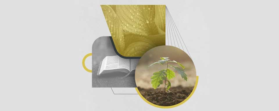 Ligonier-the-basics-of-christian-discipleship